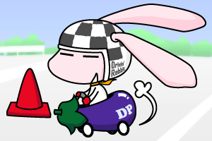 Drivin' Rabbit